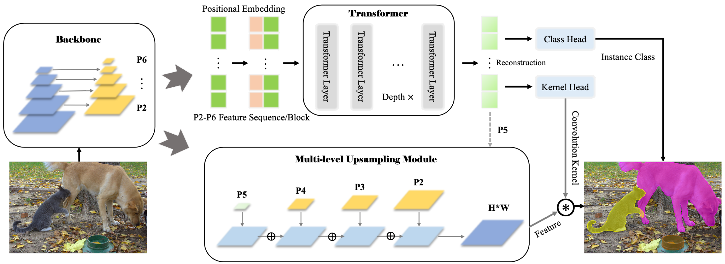 Figure 2. SOTR 框架。SOTR建立在简单的FPN主干之上,只进行了最少的修改。该模型将FPN特征P2-P6展平,并补充position embedding,再将它们输入到 Transformer 模型。在 Transformer 模型之后添加2个 head,用于预测目标类别并且生成动态卷积核(dynamic convolution kernels)。多级上采样模块将 FPN 的 P2-P5 特征和 transformer 的 P5 特征作为输入,在通过动态卷积操作生成最终的分割结果。